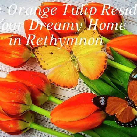Little Orange Tulip *